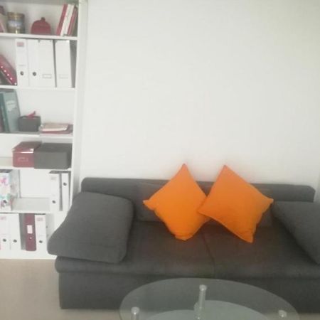 Helles Zimmer Mit Balkon Zwischen Uni Und Altstadt Ratisbona Exterior foto